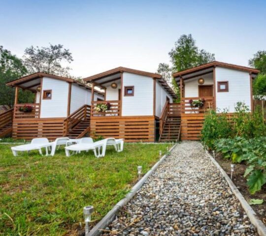 Flori Haus Saschiz Flori Haus Saschiz