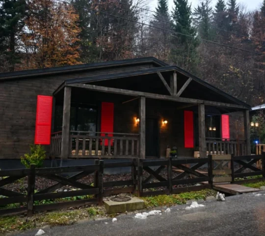 La Tulipe Noire La Tulipe Noire